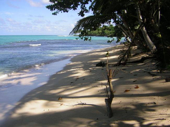 T339 - Playa de Irene (1)